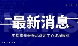 传音爆料新闻最新消息,揭秘手机行业新动态与未来趋势